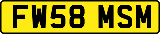 FW58MSM
