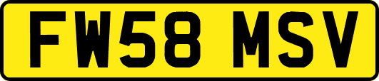 FW58MSV