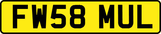 FW58MUL