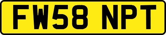 FW58NPT