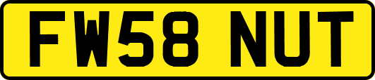 FW58NUT