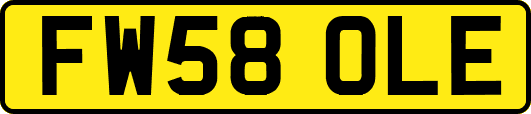 FW58OLE