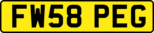 FW58PEG