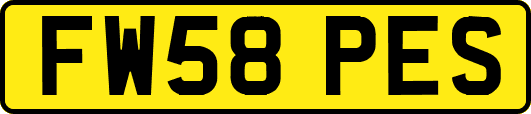 FW58PES