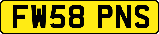 FW58PNS