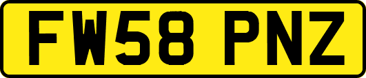 FW58PNZ