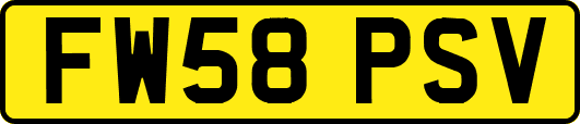 FW58PSV