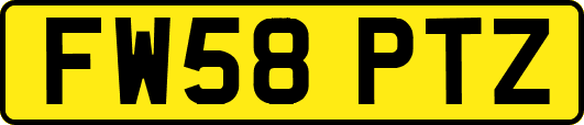 FW58PTZ
