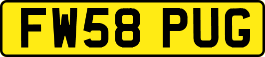FW58PUG