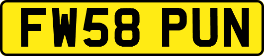 FW58PUN