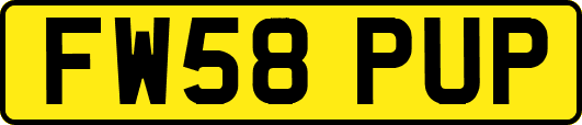 FW58PUP