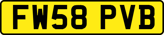 FW58PVB