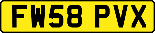 FW58PVX