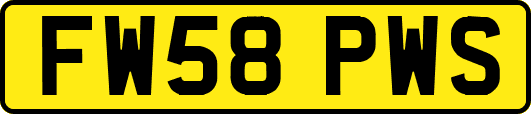 FW58PWS
