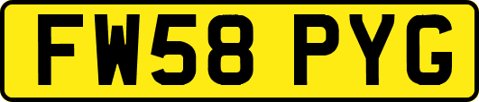 FW58PYG