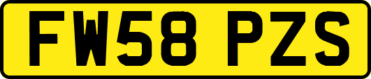 FW58PZS