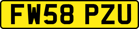 FW58PZU