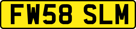FW58SLM
