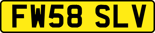 FW58SLV