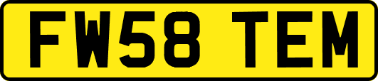 FW58TEM