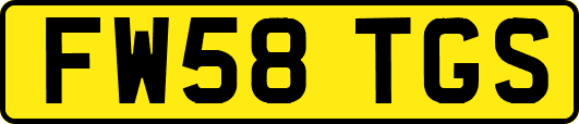 FW58TGS