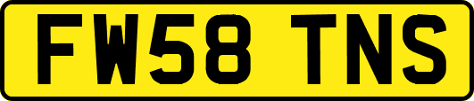 FW58TNS