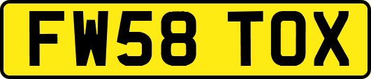 FW58TOX