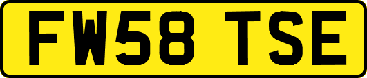 FW58TSE