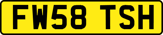 FW58TSH
