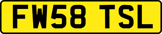 FW58TSL