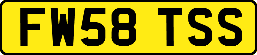 FW58TSS