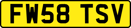 FW58TSV