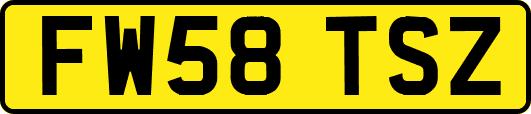 FW58TSZ