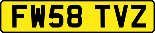 FW58TVZ