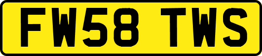 FW58TWS