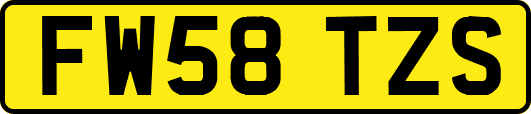 FW58TZS