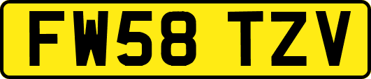 FW58TZV