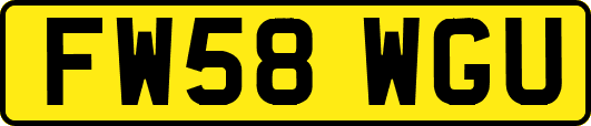 FW58WGU