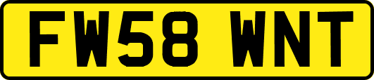 FW58WNT