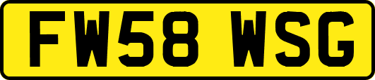 FW58WSG