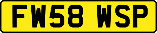 FW58WSP