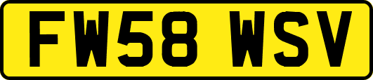 FW58WSV