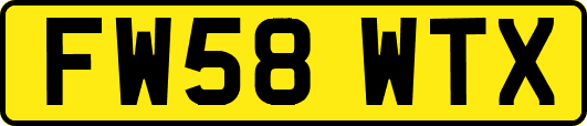 FW58WTX