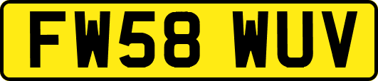 FW58WUV