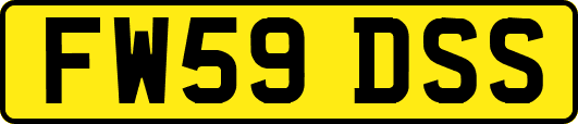 FW59DSS
