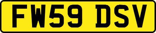 FW59DSV