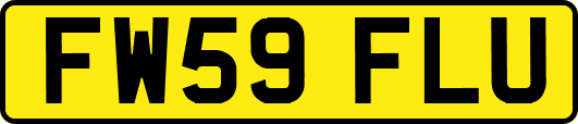 FW59FLU