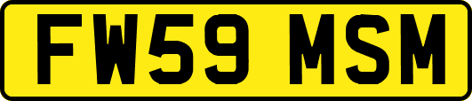 FW59MSM