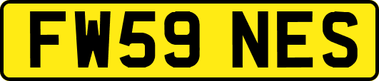 FW59NES