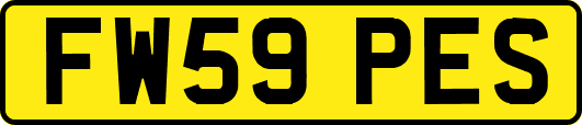 FW59PES
